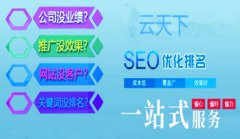 网站建设 - 深圳seo 优化公司 哪家好， 网络 推广团队给