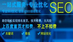 网站建设 -  中小型企业 做SEO网站优化哪些因素影响盈利赚钱