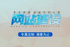 网站建设 - 如何选择 专业 的 网站建设公司 