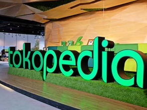 企业出海 - 李泽楷和印尼 电商 Tokopedia 到底 有什么关系？