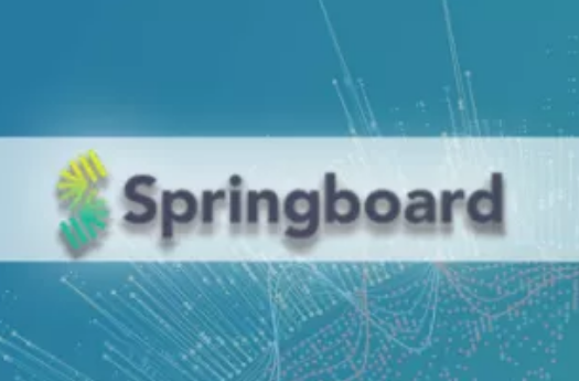 企业出海 - 印度在线 学习平台 Springboard完成3100万美元B轮融资