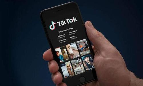 企业出海 - 与白宫关系密切 甲骨文 加入 竞购TikTok意欲何为？