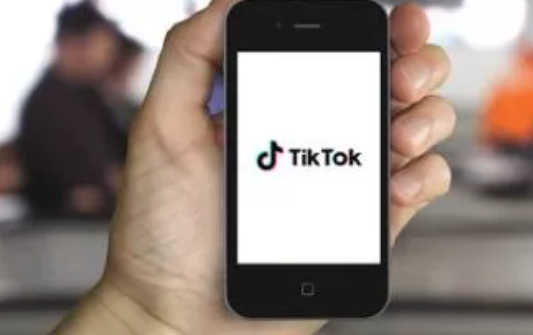 企业出海 - TikTok发布 透明 度报告：印度是删帖要求最多的国