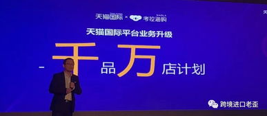 企业出海 - 天猫国际2020年开放全面招商 海外品牌 驶入“入华