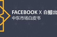 企业出海 - Facebook&出海《中东市场 白皮书 》解读（附下载链