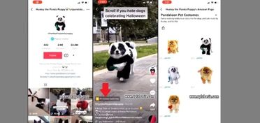 企业出海 - TikTok 测试电商 新功能 但目前只能用亚马逊产品链