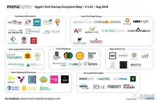 企业出海 - 埃及互联网创投生态实地 考察 ： 市场 质量和时机