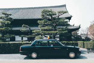 企业出海 - 滴滴日本：年底前计划在20个城市上线出 租车 服务