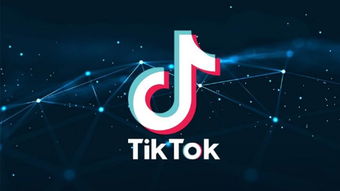 企业出海 - TikTok变现新招数：让 广告 主在 第三方 应用投 广告