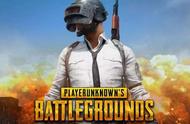 企业出海 - 《PUBG》国内定名《 和平精英 》 海外仍遭到印度、