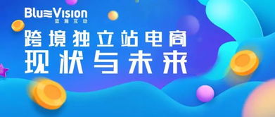 企业出海 - 对话蓝瀚互动：一年在 海外投放 了100亿后 看到的