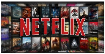 企业出海 - Netflix发债融资20亿美元 为原创 影视 提供“弹药”