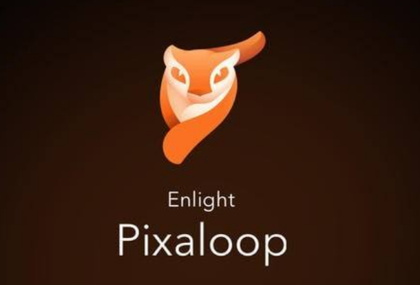 企业出海 - 入选App Store精品推荐9次！Enlight Pixaloop 究竟是什
