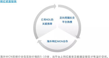 企业出海 - 社交 电商 的风口 KOL营销成为流量新 入口 ？