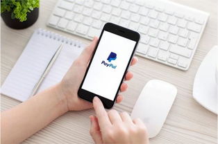 企业出海 - PayPal 首席 执行官：数字支付市场将至100万亿美元