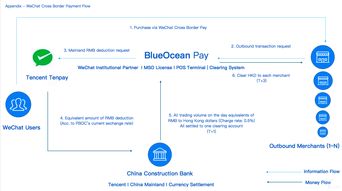 企业出海 -  跨境 移动 支付聚合 平台BlueOceanPay获数百万美元融