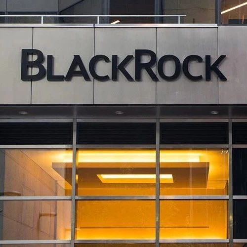 企业出海 -  全球 最 大的 资产管理公司BlackRock开始探索比特币