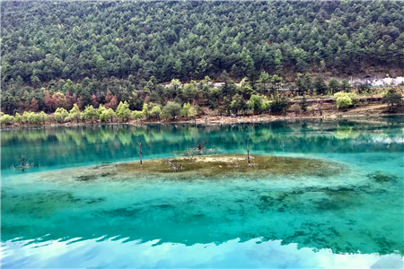 企业出海 - 食品外卖公司Swiggy将获Flipkart和腾讯联合投资1亿