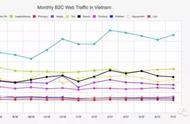 企业出海 - 越南 在线广告投放 攻略，社交媒体影响力超搜索
