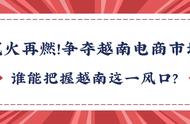 企业出海 - 越南电商市场七零八落 各大集团强势 进驻 