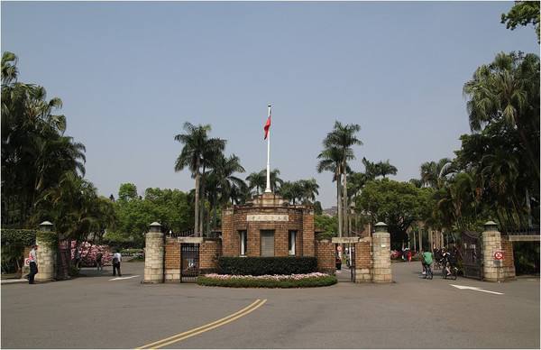 企业出海 - 《猪来了》登顶台湾6月下载榜