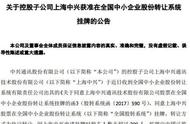 企业出海 - 中兴通讯控股子 公司 上海中兴拟申 请在 新三板上