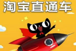 产品推广 -  淘宝 批量推广和标准推广 哪个 好？ 淘宝 直通