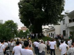 经典广告语 - 宗亲联谊会标语联语-经典用语大全